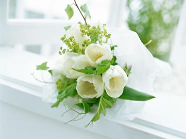 Bài giảng Vật lý Lớp 8 - Bài 8 Áp suất chất lỏng